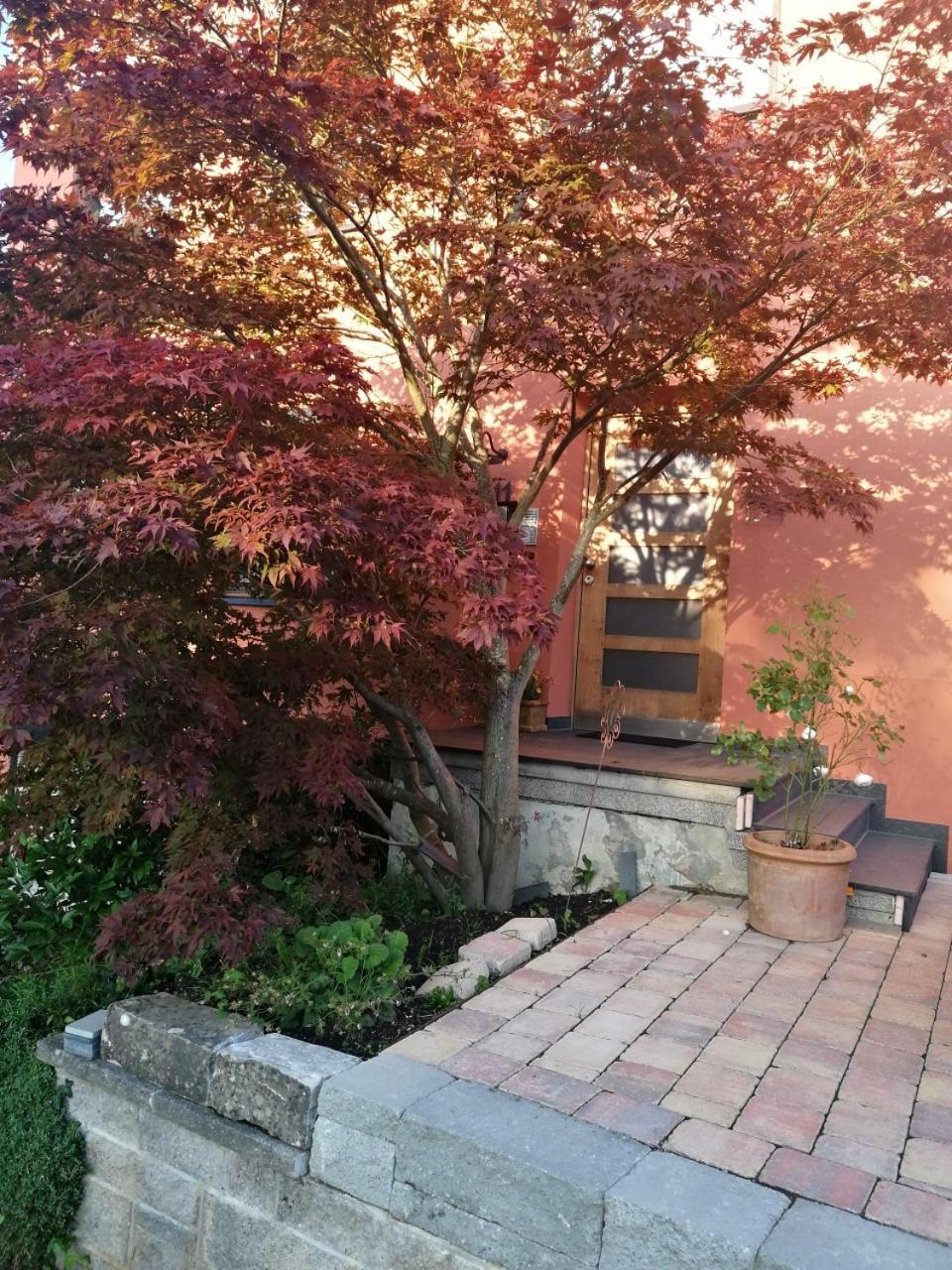 Haus Meersburg Garten Exterior foto